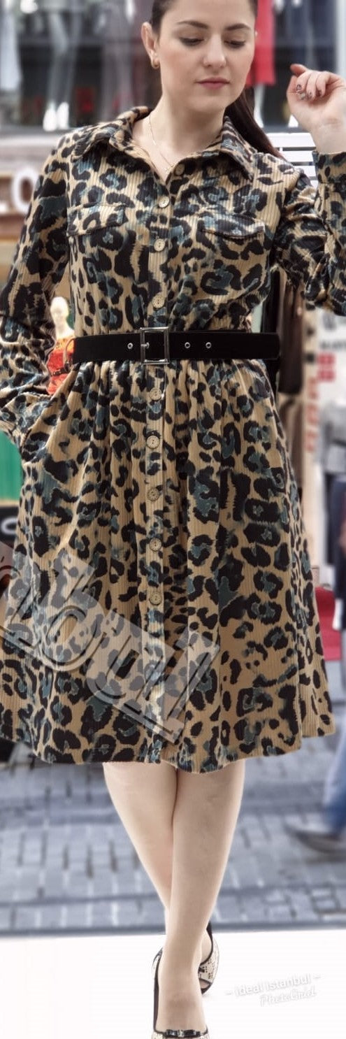 Leopard Print Dress